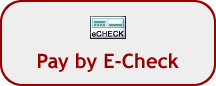 Pay by Electronic Check