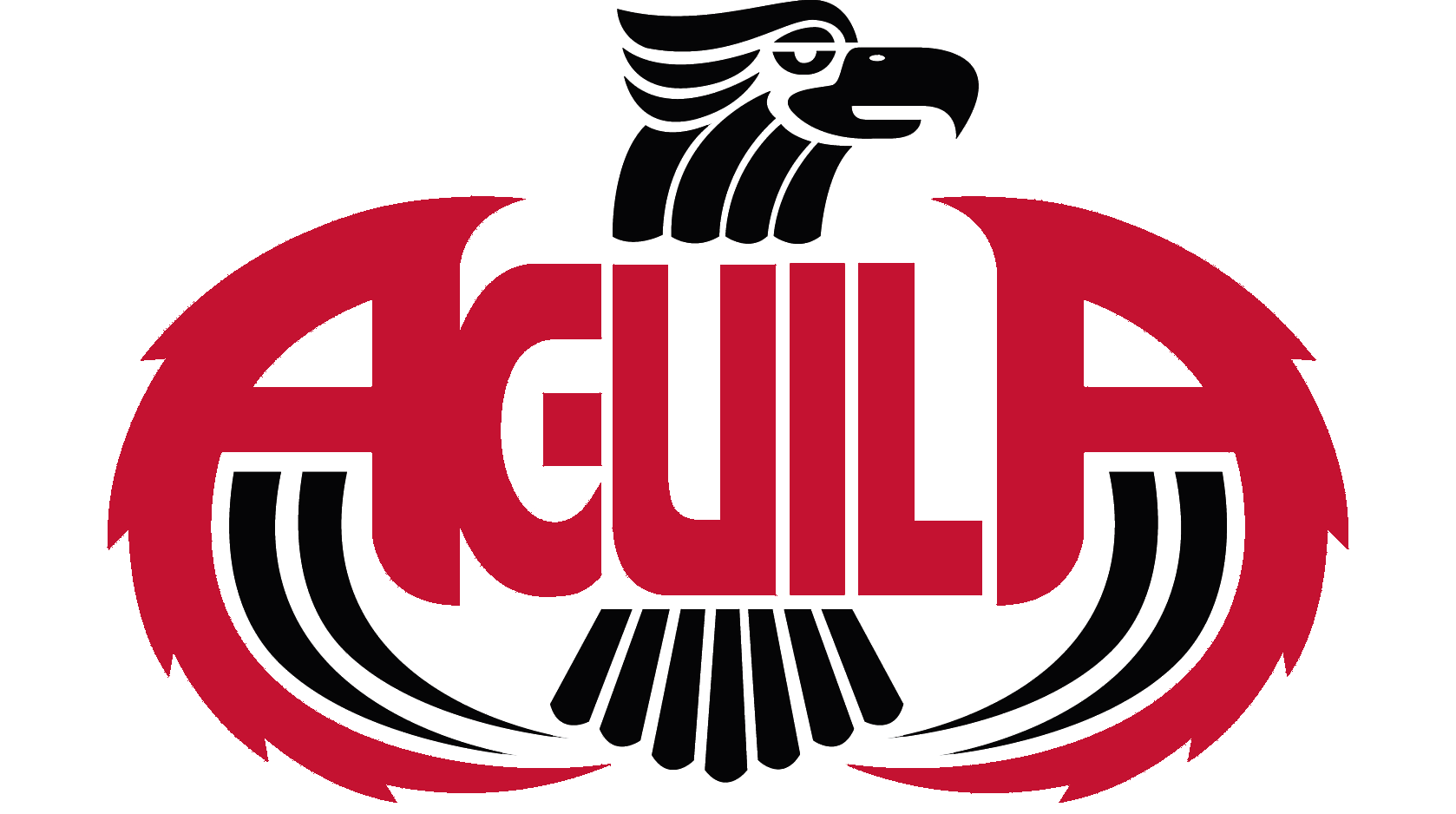 AGUILA Youth Leadership Institute