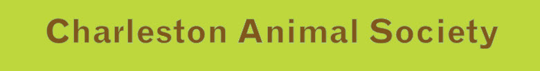 Charleston Animal Society