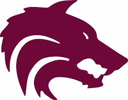 Desert Mountain Baseball Boosters