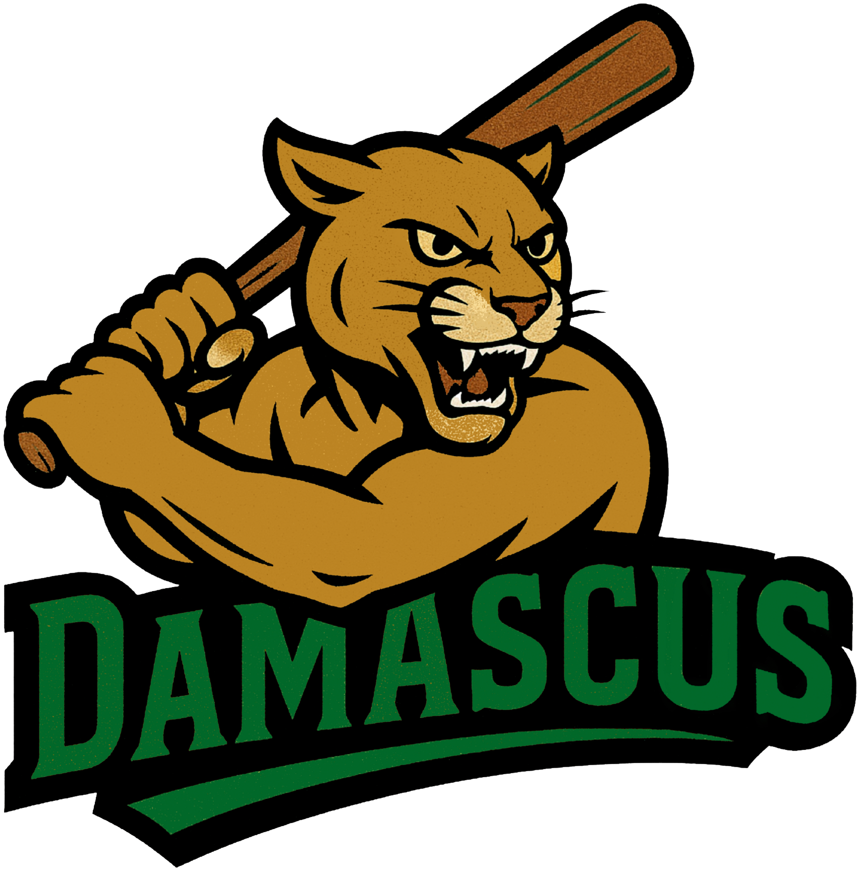Damascus Sports Association - Baseball