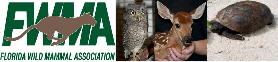 Florida Wild Mammal Association