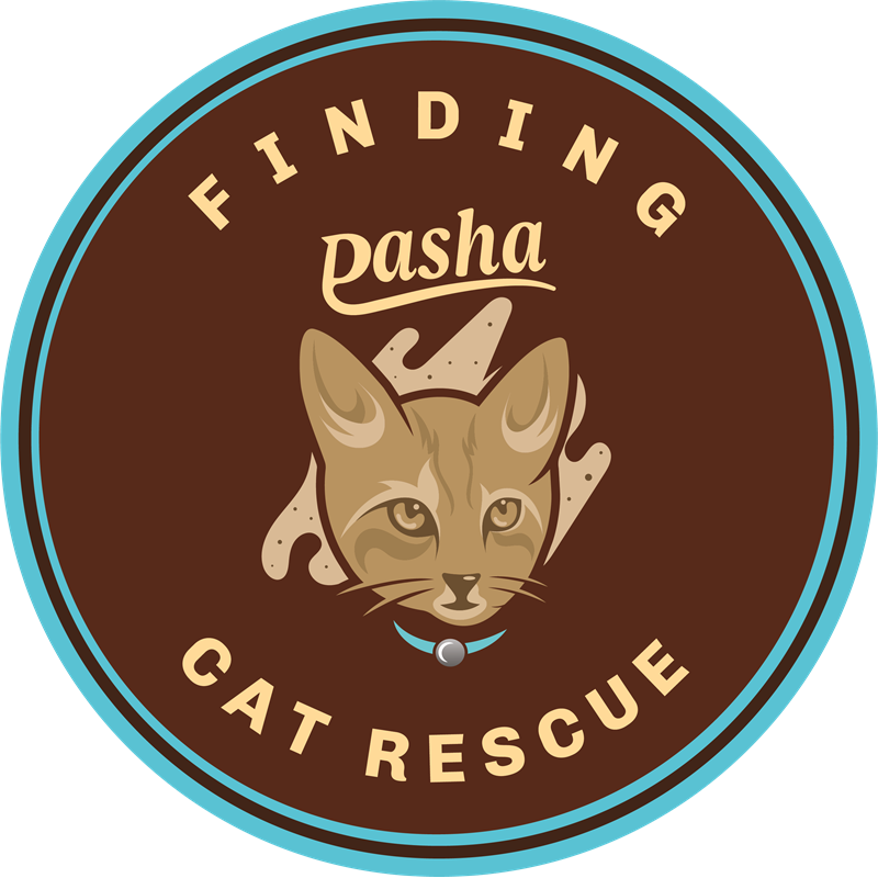 Finding Pasha Cat Rescue
