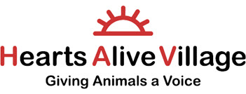 Hearts Alive Village Las Vegas
