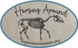 Hagerman Museum