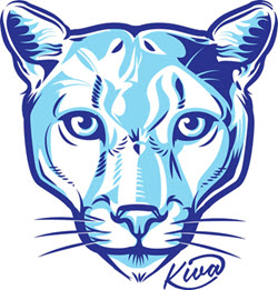 Kiva PTO
