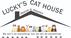 Lucky's Cat House