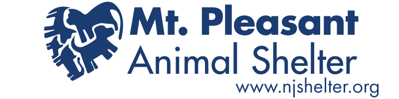 Mt. Pleasant Animal Shelter