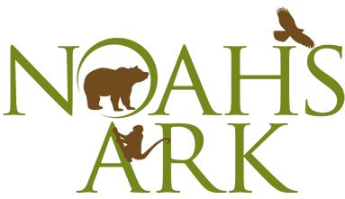 Bricks of Love – Noah's Ark Animal Sanctuary Bricks of Love – Noah's Ark Animal Sanctuary