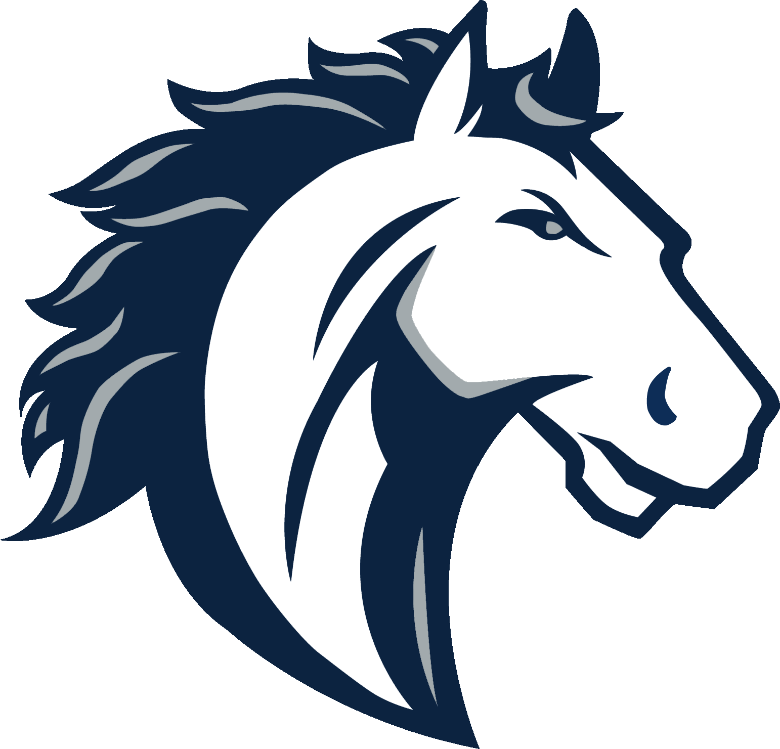 North Branch Area Schools
