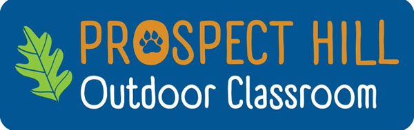 Prospect Hill's Outdoor Classroom