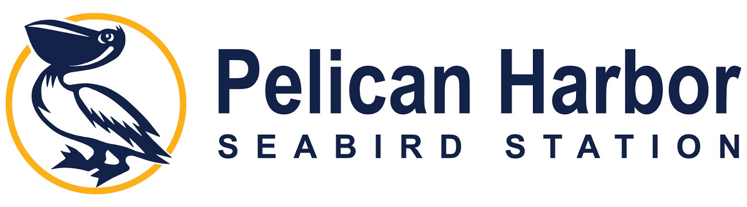 Pelican Harbor Seabird Station