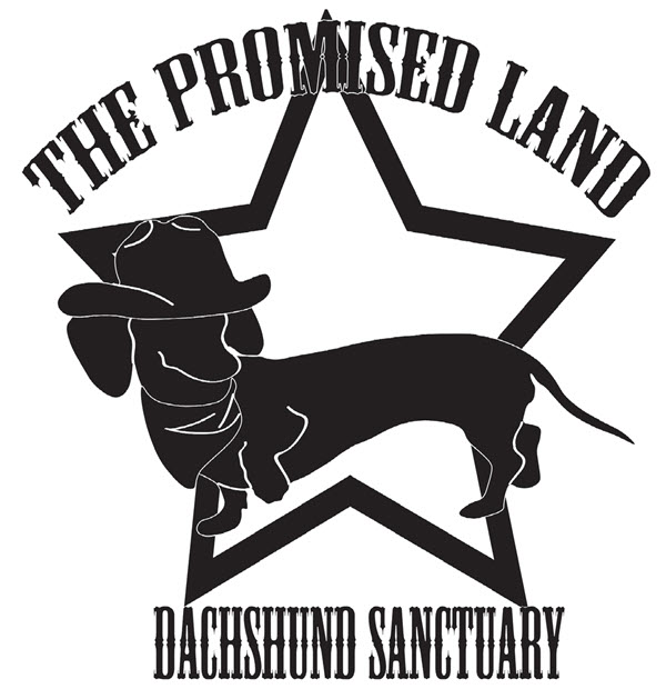 Promised Land Dachshund Sanctuary