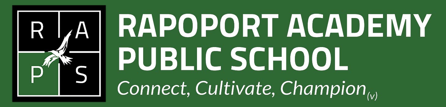 Rapoport Academy Public School