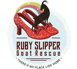 Ruby Slipper Goat Rescue