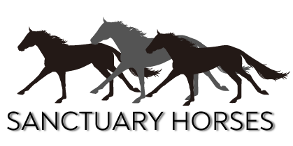 Sanctuary Horses