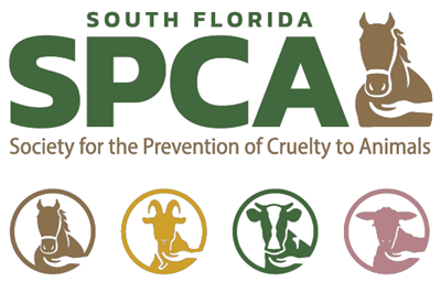 South Florida SPCA