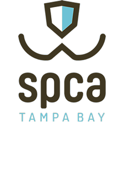 SPCA Tampa Bay