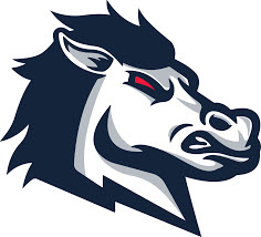 USC Aiken