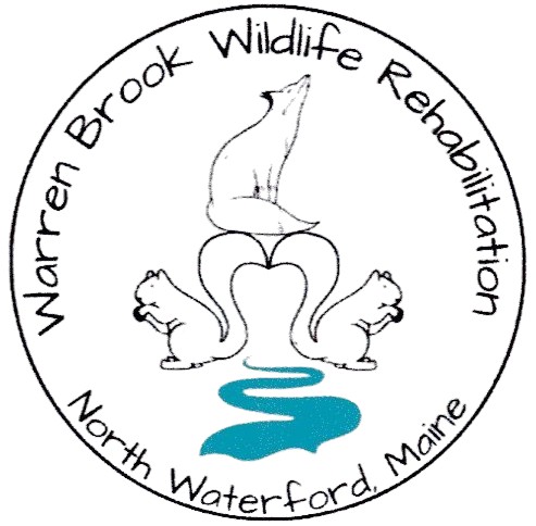 Warren Brook Wildlife Rehabilitation