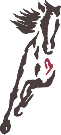 Wild Hearts Equine Therapeutic Center, Inc.