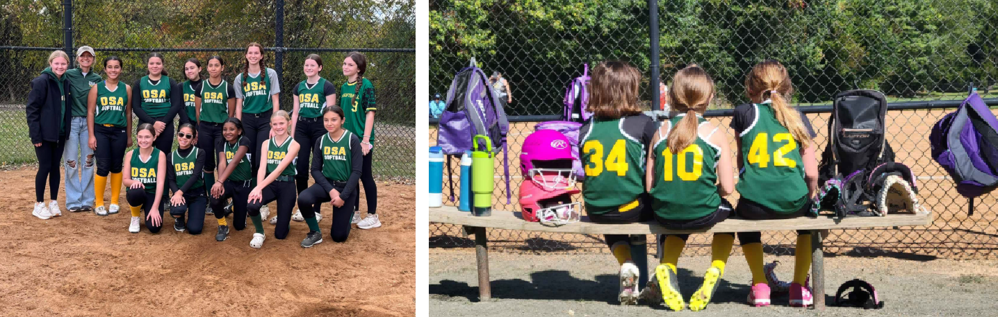 Damascus Sports Association- softball