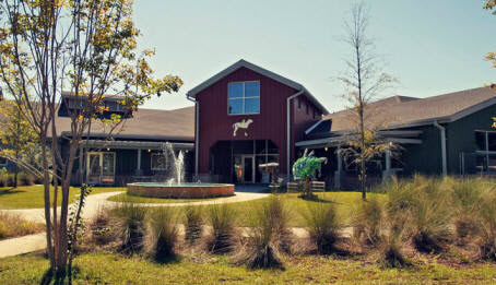 Charleston Animal Society
