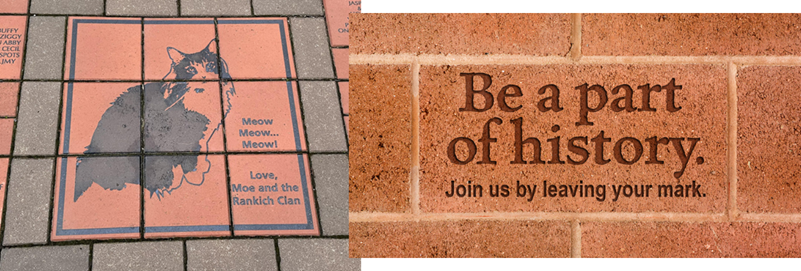 CASTOFF PET RESCUE, INC CASTOFF PET RESCUE NEW SHELTER MEMORIAL BRICK FUNDRAISER