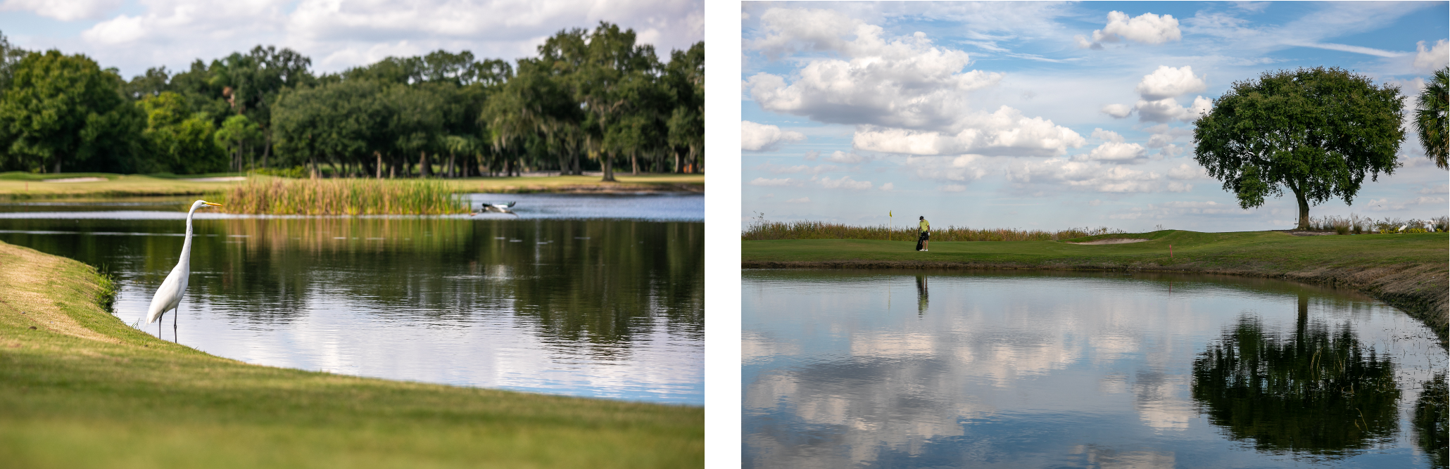 Country Club of Winter Haven