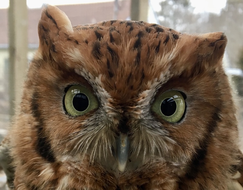 Evelyn Alexander Wildlife Rescue Center Archie's Walk and Keela's Path