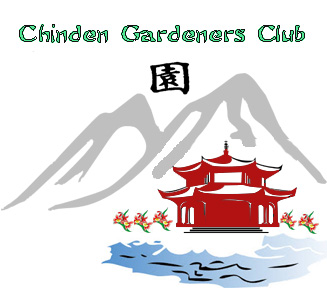 Bee City USA - Garden City