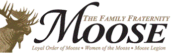 Mchenry Moose Lodge 691 Playground Project