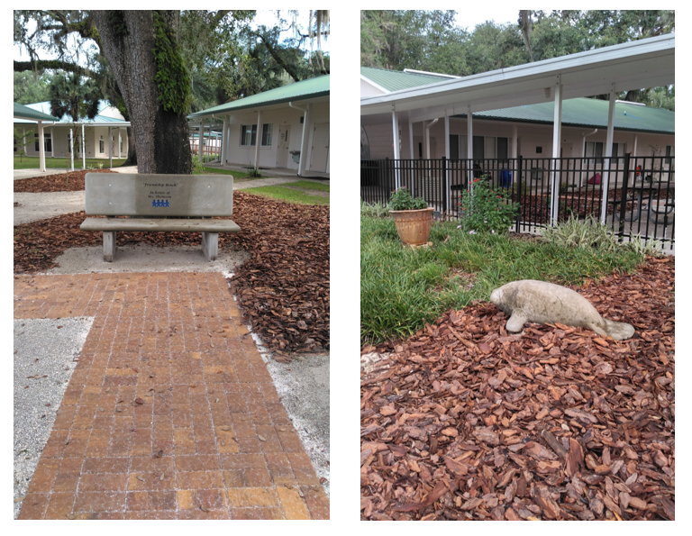 Micanopy Area Cooperative School