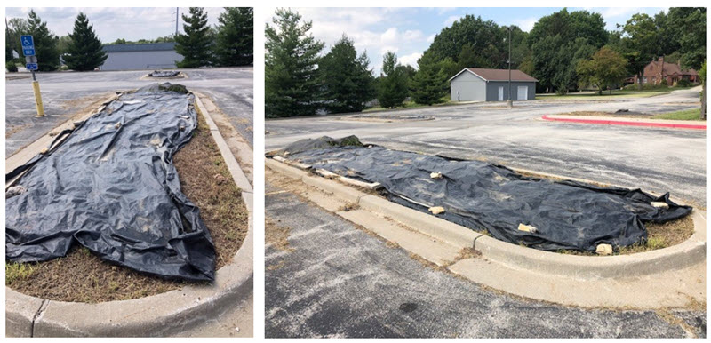 Nativity of Mary Island Project Parking Island Beautification Project