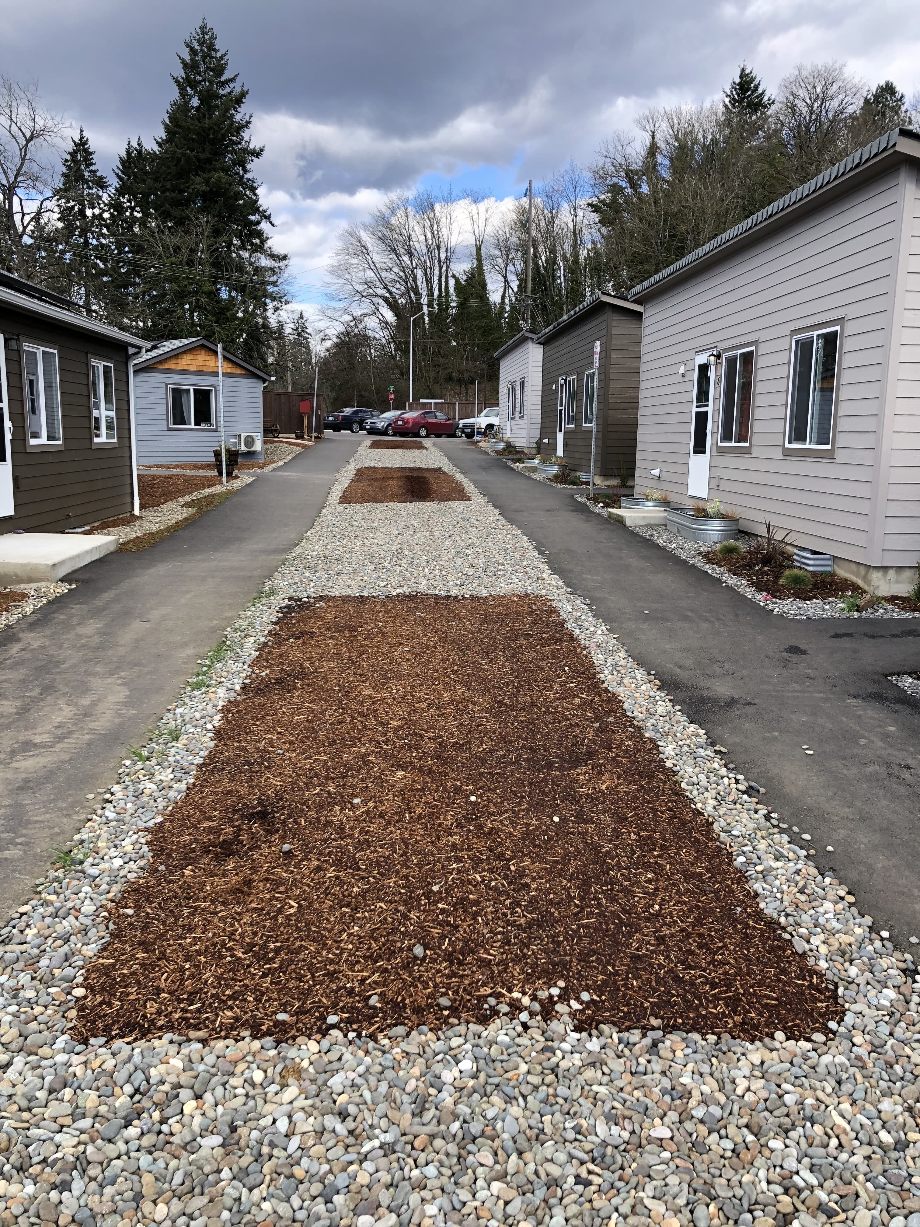 C-Roots (Community Roots Collaborative) Paving the Path for Community