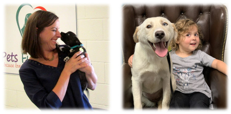 Pets Fur People Christmas Brick Campaign