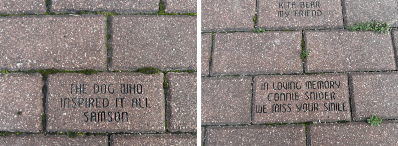 City of Siloam Springs Parks and Recreation Tails & Trails Dog Park