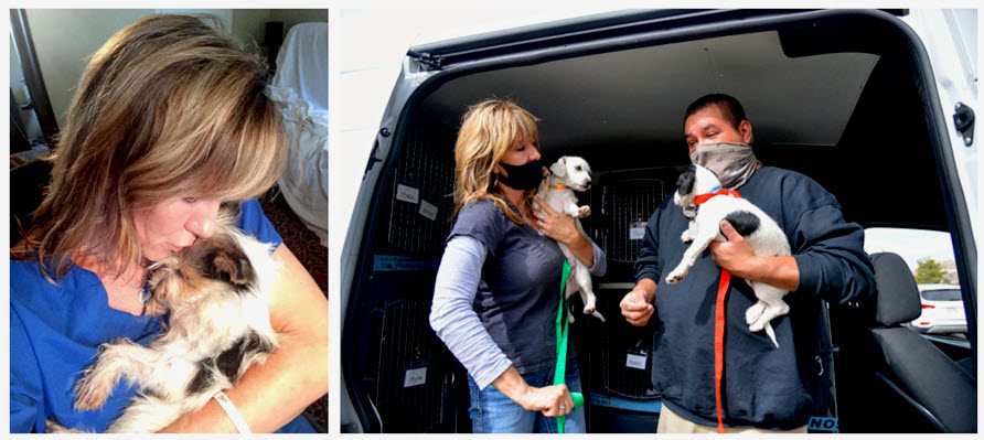 Tracys Paws Rescue March to the Milton!