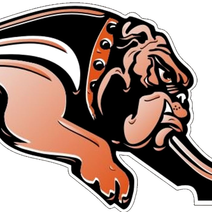 Vaca High Alumni Scholarship Association New Gym Legacy Tile Program