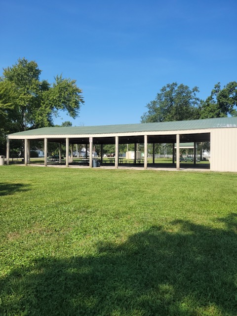 Village of Patoka