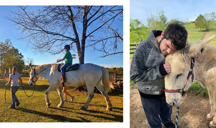 Wild Hearts Equine Therapeutic Center, Inc. Help us Pave the Way to a brighter future!