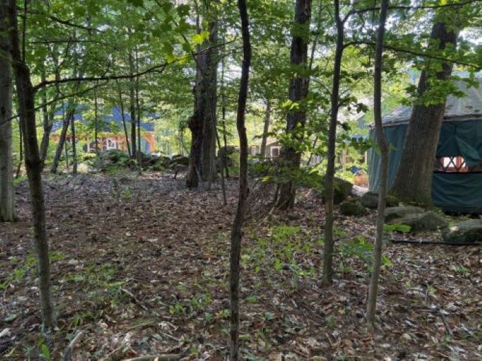 Windsor Mountain Summer Camp