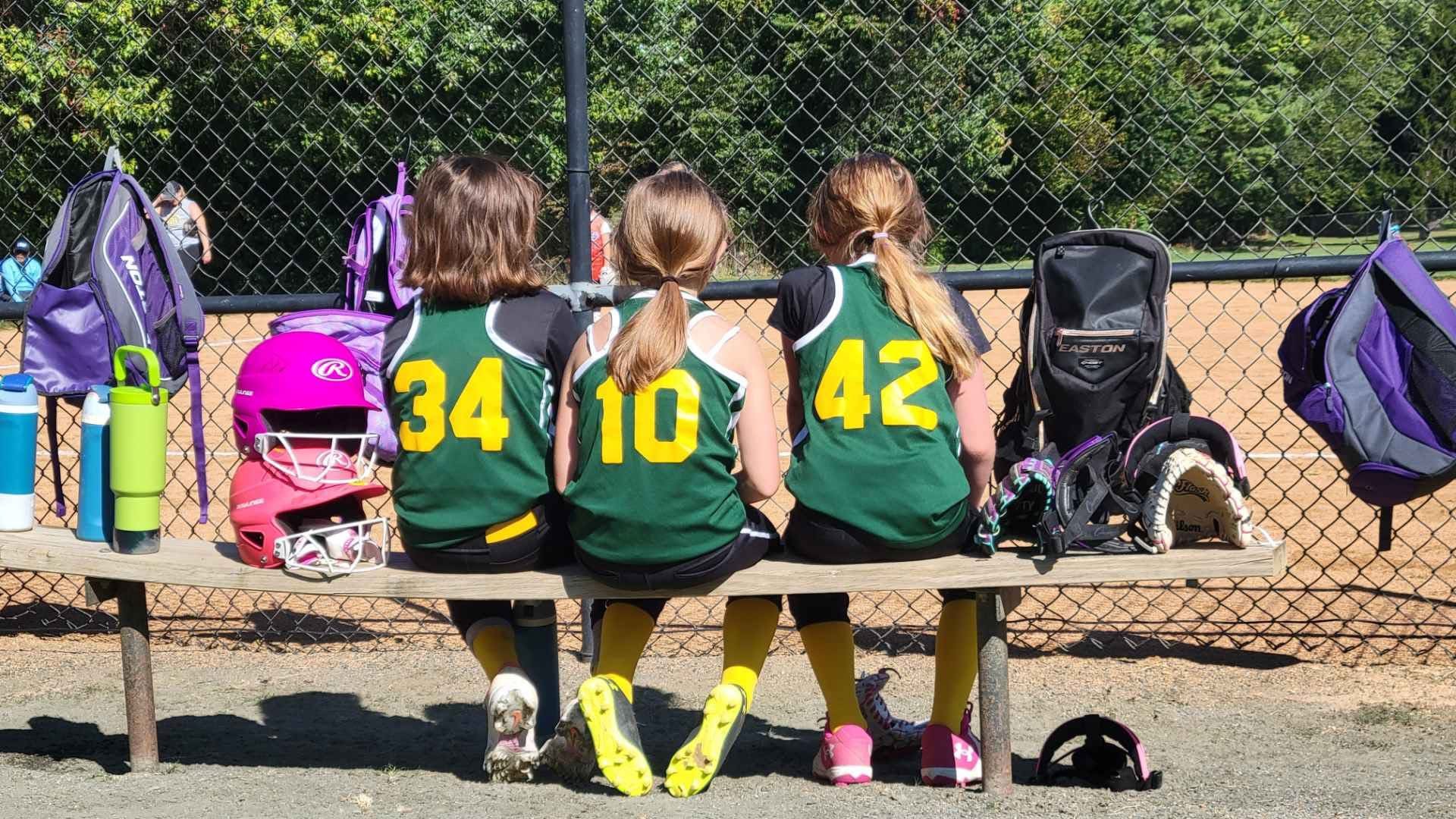 Damascus Sports Association- softball