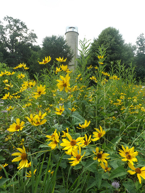 Clarence Schock Memorial Park At Governor Dick Buy-A-Brick Campaign