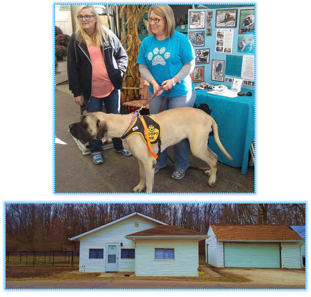 Giant Paw Prints Rescue Giant Paw Prints Brick Fundraiser