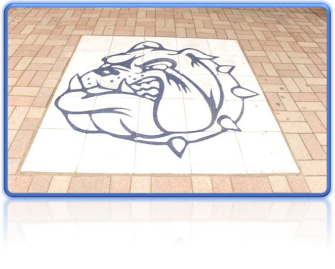 Building Bulldogs Brick by Brick