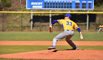 Mars Hill University Baseball Mars Hill Baseball Brick Fundraiser