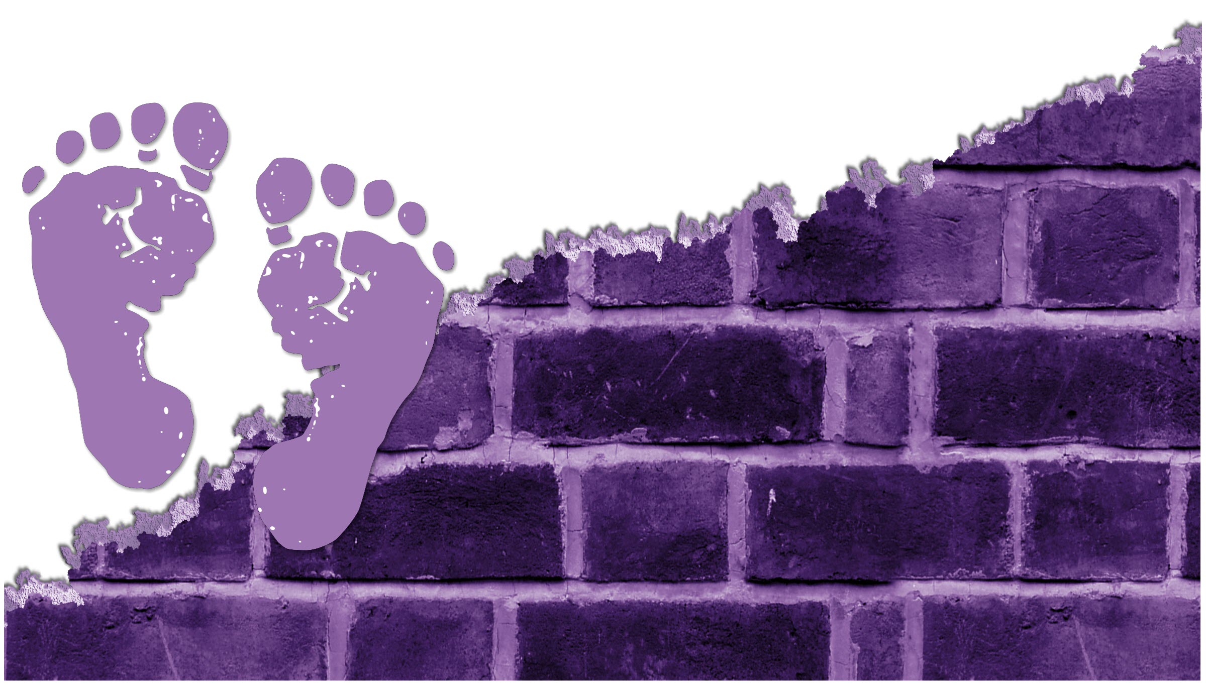 Tobosa Developmental Services
