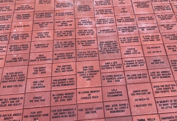 Florida Keys SPCA Engrave & Pave the Way!