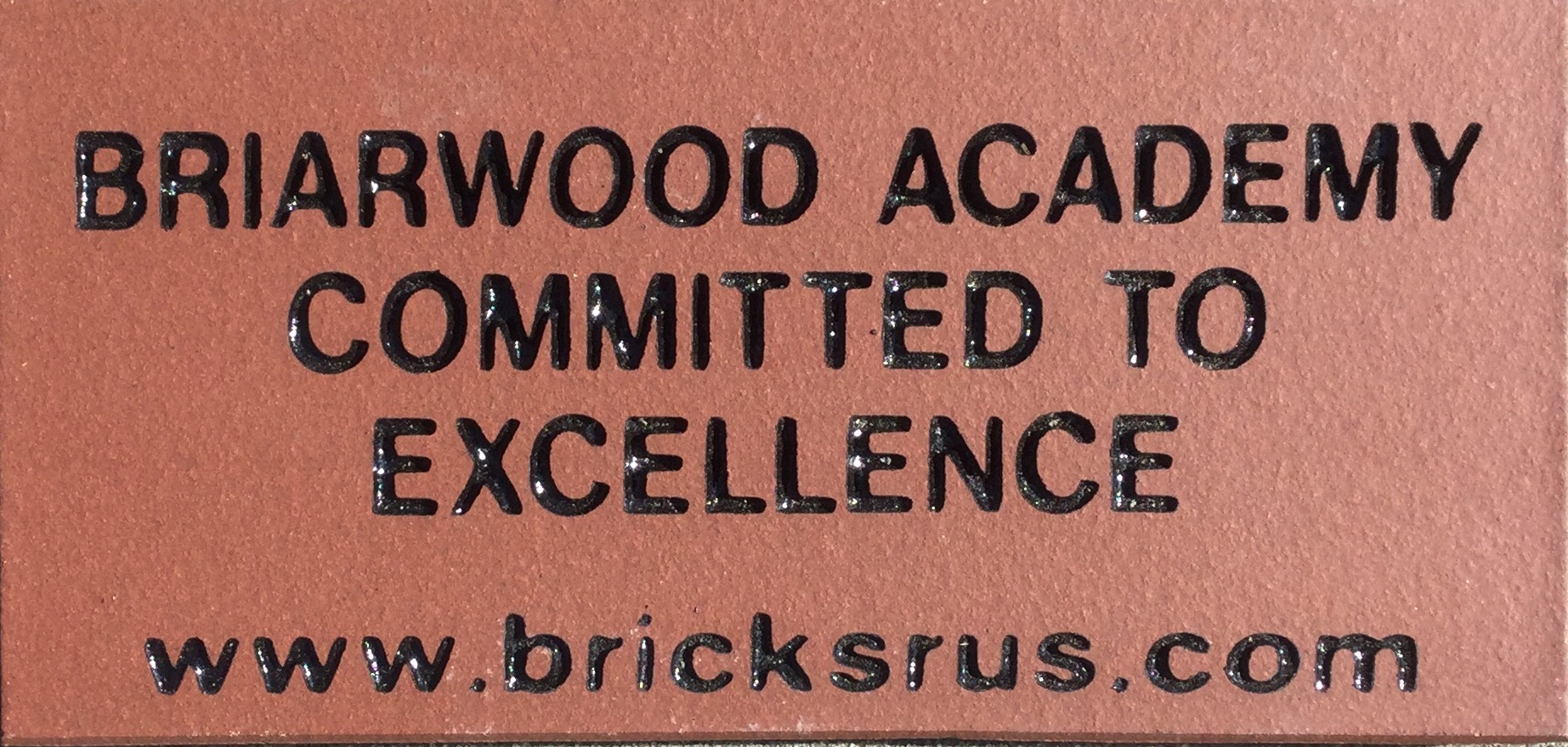 Briarwood Academy Buccaneer Bricks..